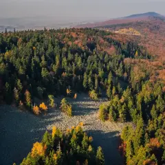 Kiedy powstał Świętokrzyski Park Narodowy? Odkryj jego historię