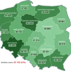 Ile kosztuje hektar pola w świętokrzyskim? Sprawdź aktualne ceny!