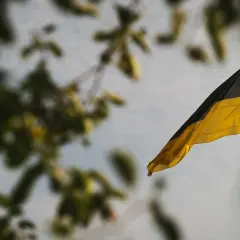 Flaga czarno żółta powiewa na maszcie, na tle nieba i rozmytych liści.