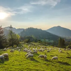 Pieniny gdzie nocleg - odkryj najlepsze miejsca na wypoczynek