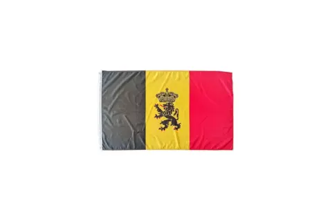 Flaga Belgii: trzy pionowe pasy: czarny, żółty z czarnym lwem w koronie, czerwony.