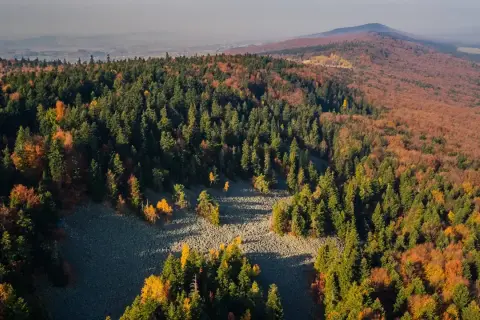 Kiedy powstał Świętokrzyski Park Narodowy? Odkryj jego historię