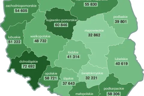 Ile kosztuje hektar pola w świętokrzyskim? Sprawdź aktualne ceny!