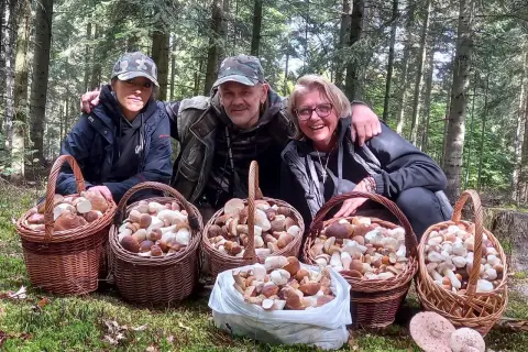 Czy są grzyby świętokrzyskie? Sprawdź, co rośnie w lasach teraz