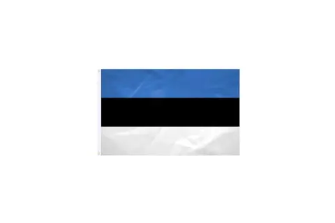 Flaga Estonii: trzy poziome pasy - niebieski, czarny, biały.