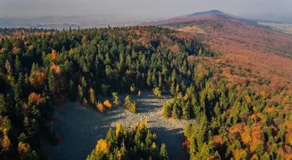 Kiedy powstał Świętokrzyski Park Narodowy? Odkryj jego historię