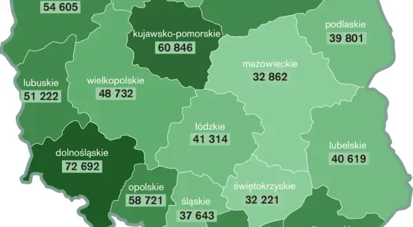Ile kosztuje hektar pola w świętokrzyskim? Sprawdź aktualne ceny!