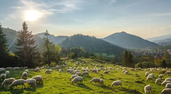 Pieniny gdzie nocleg - odkryj najlepsze miejsca na wypoczynek