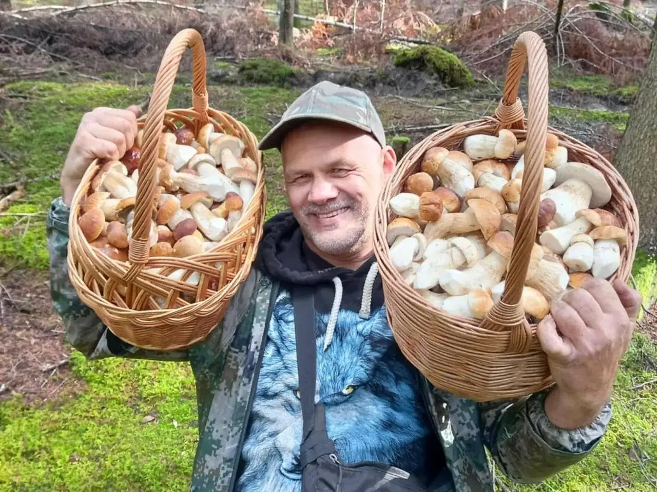 Szczęśliwy grzybiarz z dwoma pełnymi koszami borowików. Idealne miejsce, gdzie na grzyby świętokrzyskie.