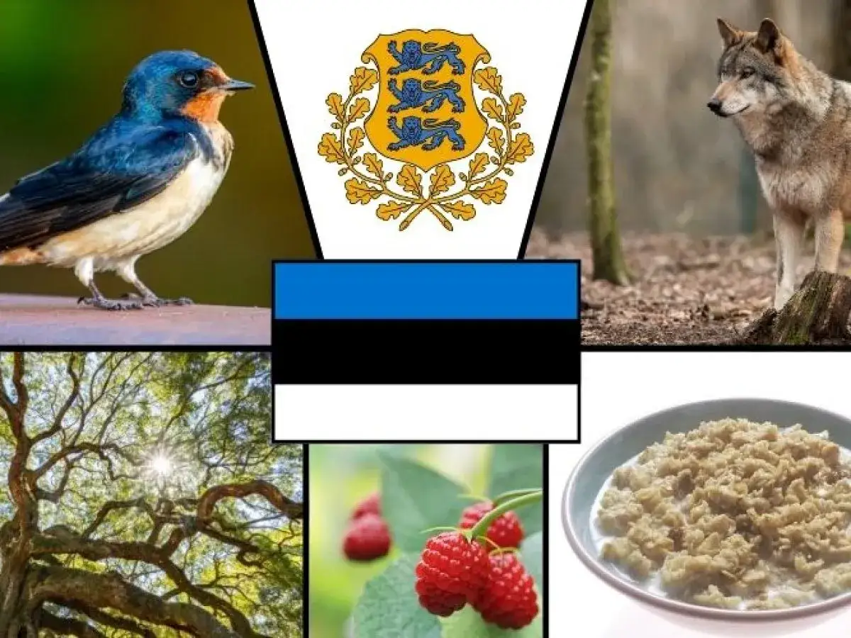 Flaga Estonii, jastrząb, wilk, drzewa, maliny i owsianka.