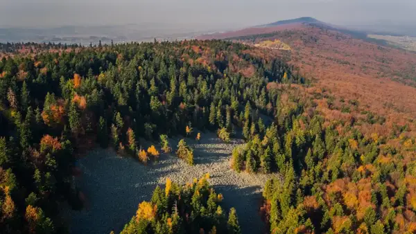 Kiedy powstał Świętokrzyski Park Narodowy? Odkryj jego historię