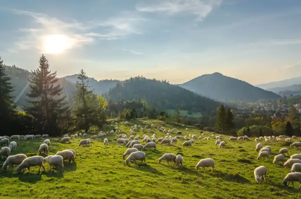 Pieniny gdzie nocleg - odkryj najlepsze miejsca na wypoczynek