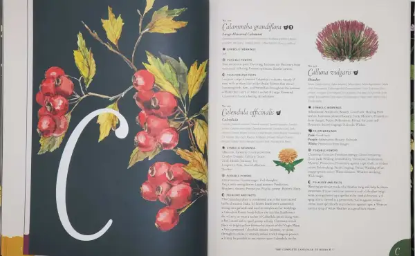 Ilustracja przedstawia literę "C" ozdobioną gałązką z czerwonymi owocami i żółtymi liśćmi. To godło Kuby, symbolizujące naturę i jej dary.